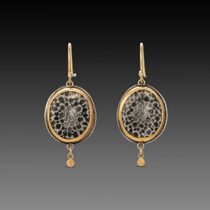 Bryozoan Fossil Earrings