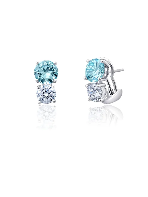 Aqua And Clear Post & Clip Earrings